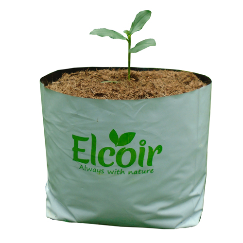 Evocoir Platinum – Coco Grow Media Open Top Grow Bags with Filter - Global  Garden